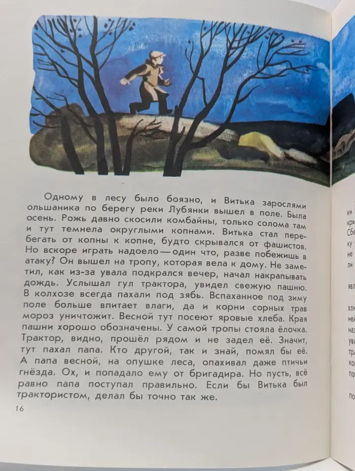 Витькина борозда