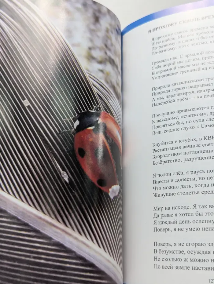 Я прохожу сквозь времена веков