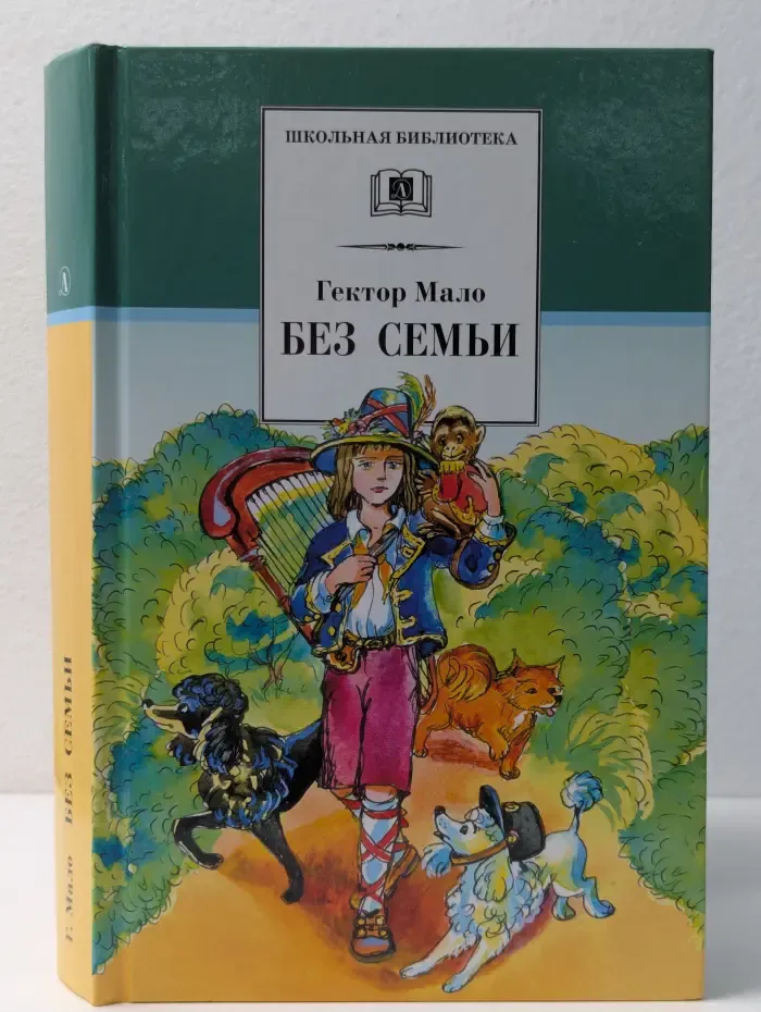 Школьная библиотека. Без семьи