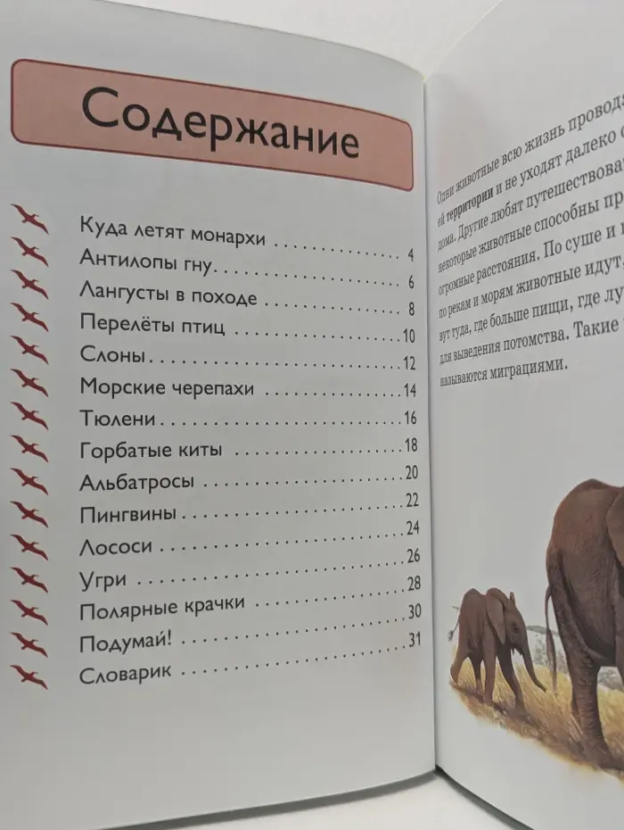 В мире животных