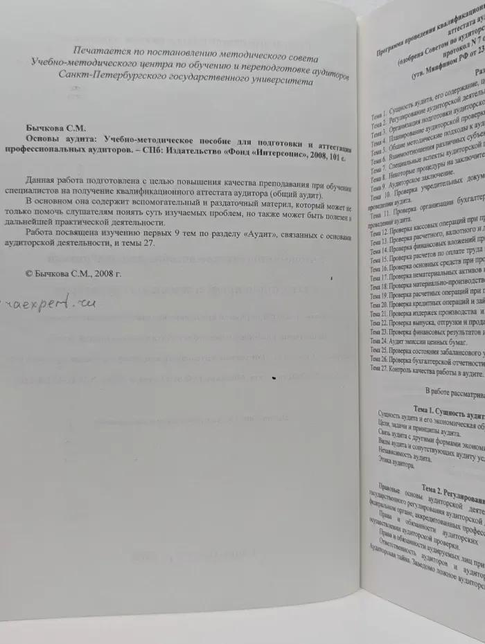 Основы аудита