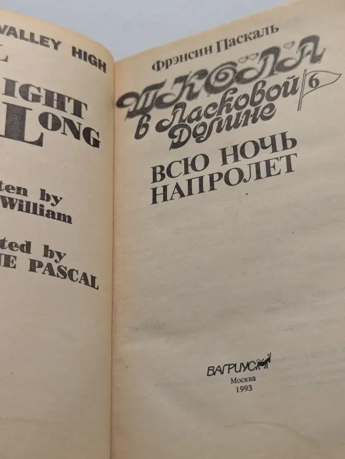 Школа в Ласковой Долине (книга 6) - Всю ночь напролёт