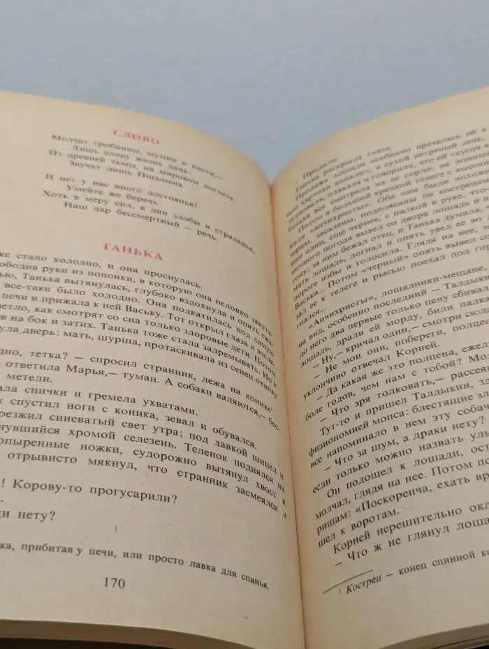 Школьная библиотека. В мире русской литературы. 6 класс