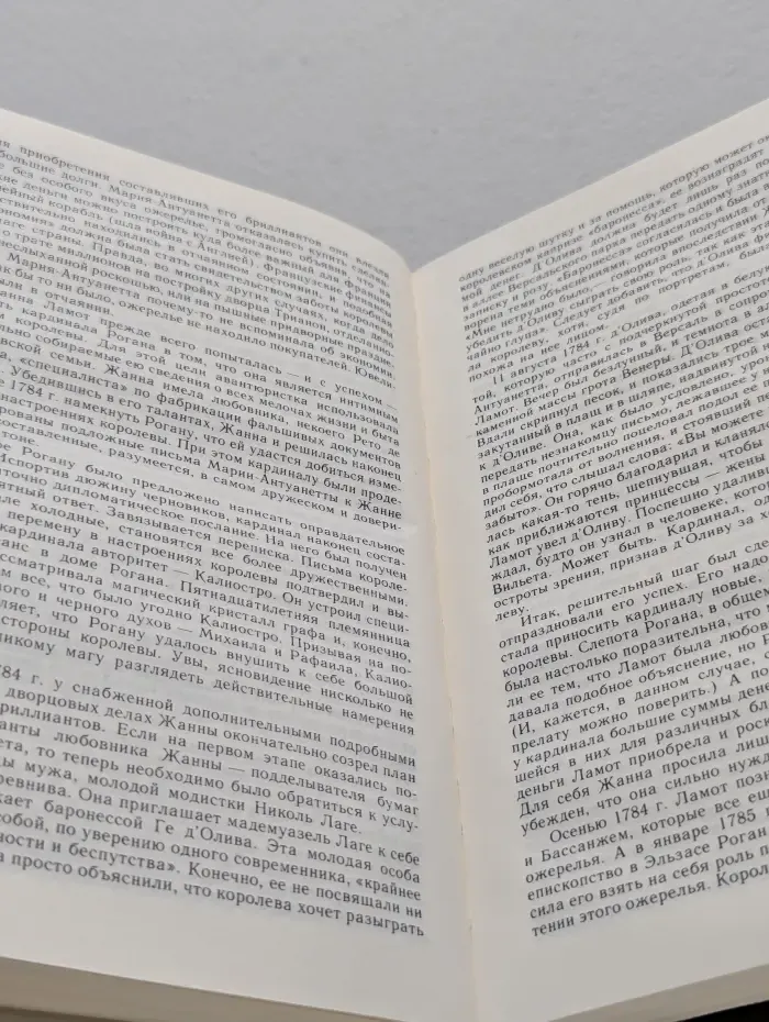 Судебная петля. Секретная история политических процессов на Западе