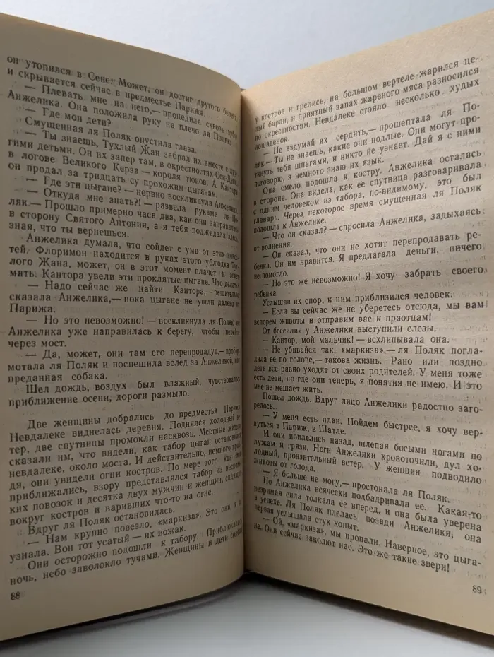 Анжелика и Король. Путь в Версаль