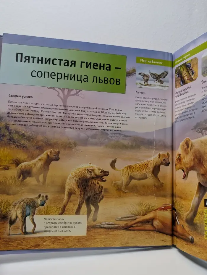 Энциклопедия интересных фактов. Настоящие друзья