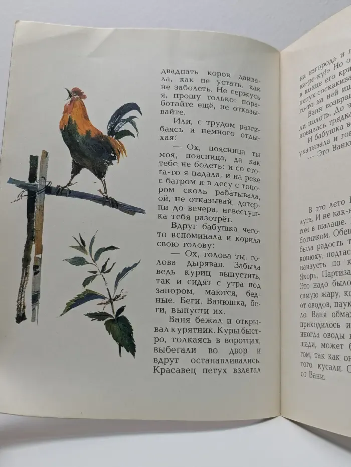 На зелёной земле