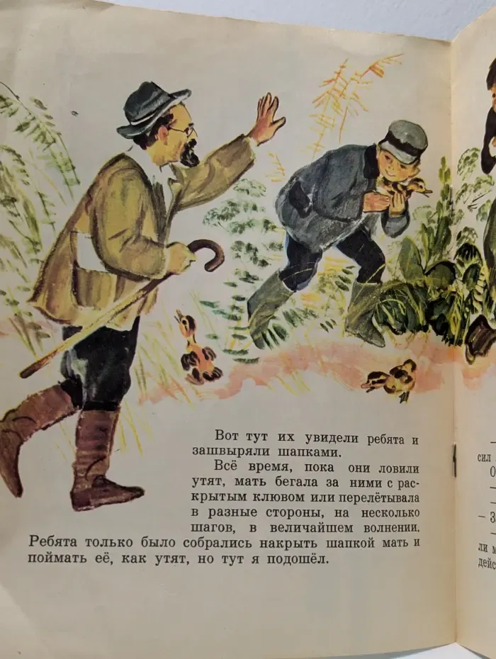 Ребята и утята