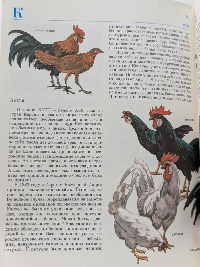 Путешествие к домашним животным