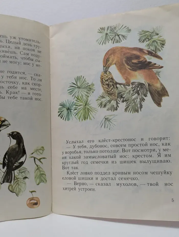 Мои первые книжки. Чей нос лучше?