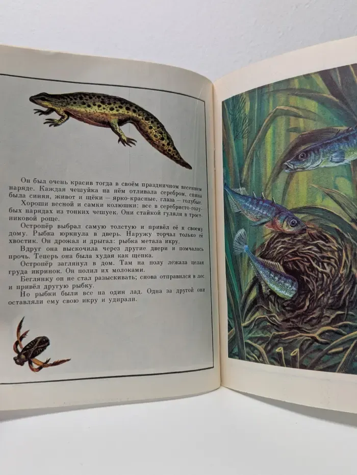 Мои первые книжки. Рыбий дом