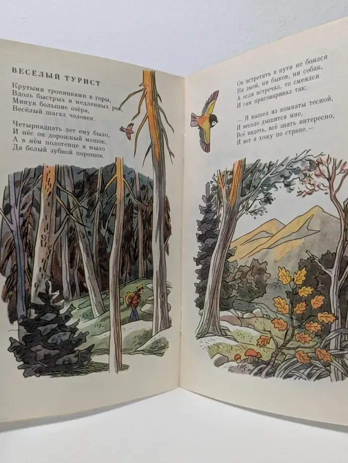 Мои первые книжки. Весёлый турист