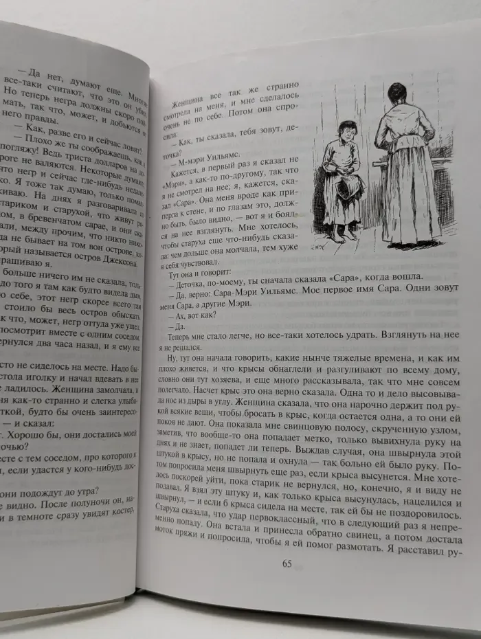 Приключения Гекльберри Финна