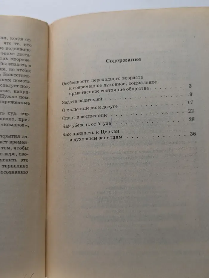 Православное воспитание мальчиков переходного возраста (советы священника)