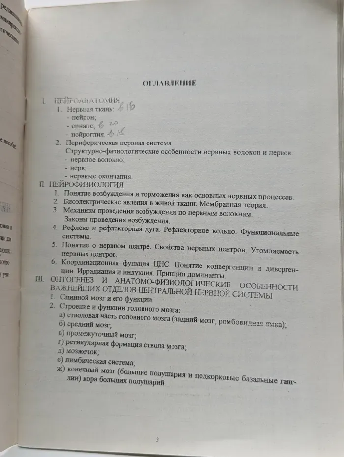 Нейрофизиология детей и подростков