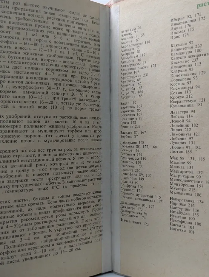 Декоративное цветоводство на приусадебном участке