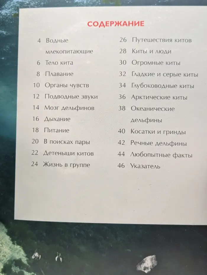 Детская энциклопедия. Киты и дельфины