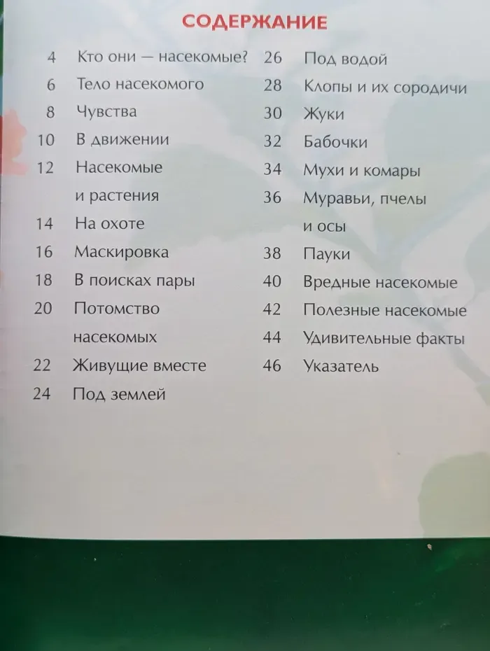 Детская энциклопедия. Насекомые