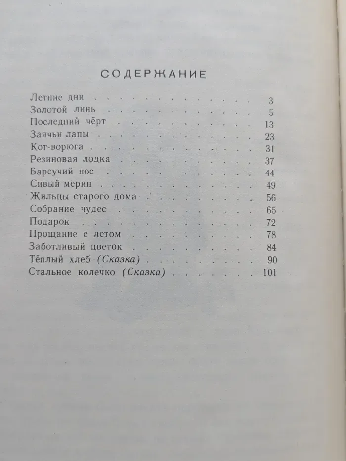 Школьная библиотека. Летние дни