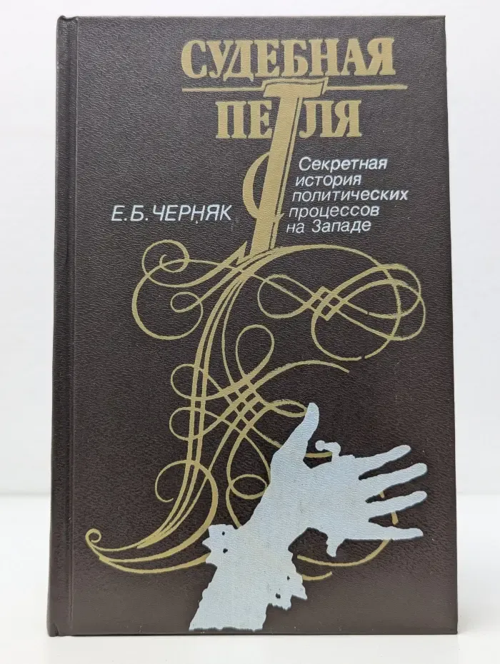 Судебная петля. Секретная история политических процессов на Западе
