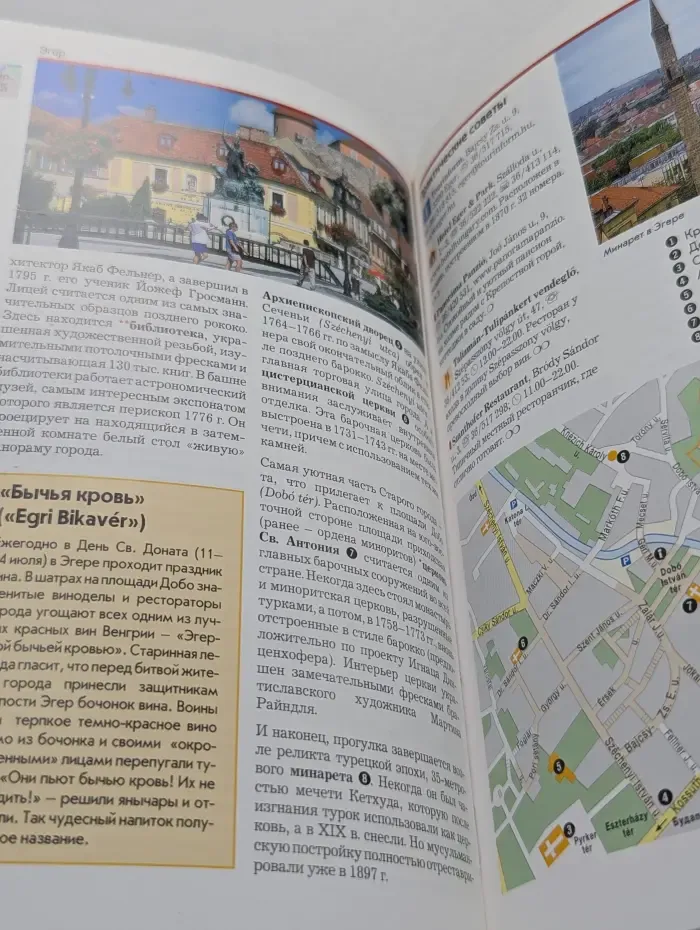 Полиглот. Венгрия