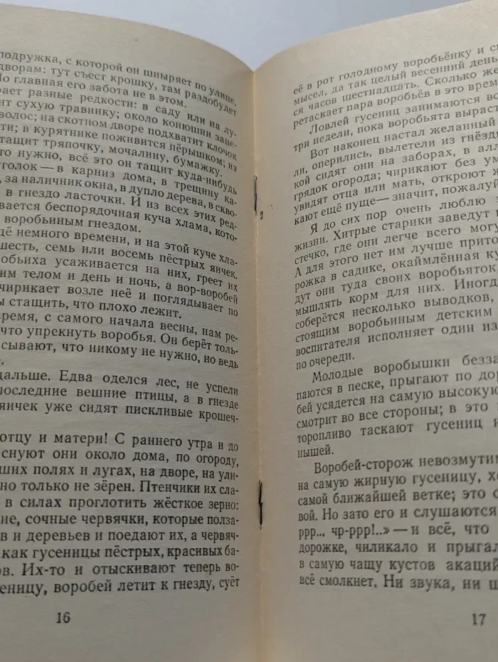 Петькин заяц