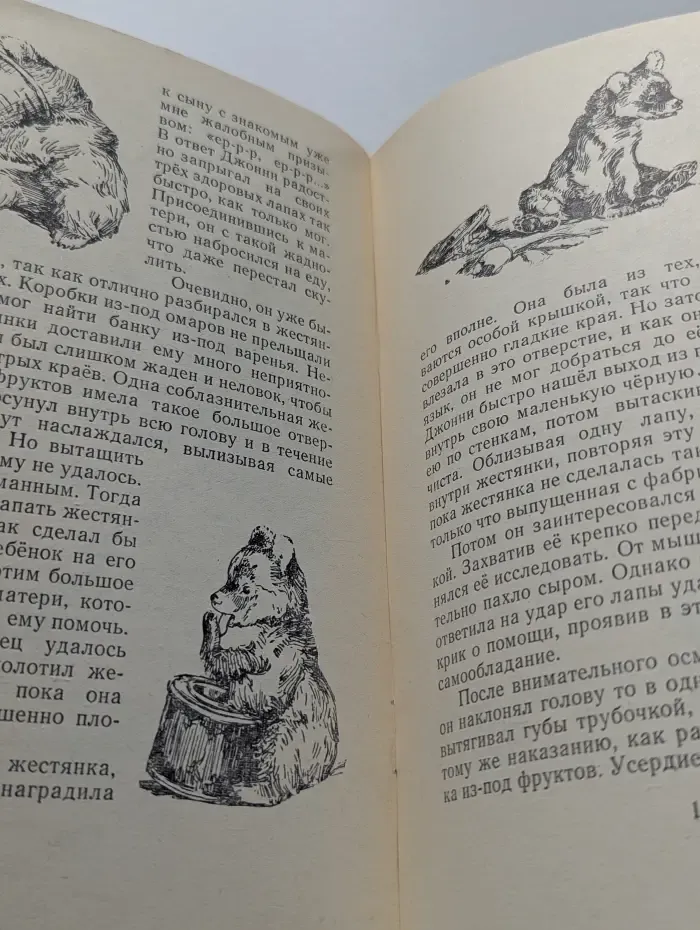 Книга за книгой. Медвежонок Джонни