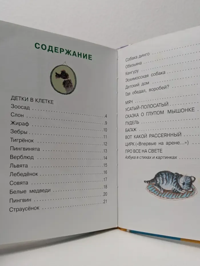 Стихи детям. Вот какой рассеянный