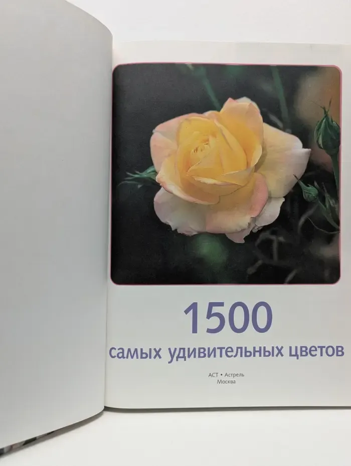 1500 самых удивительных цветов