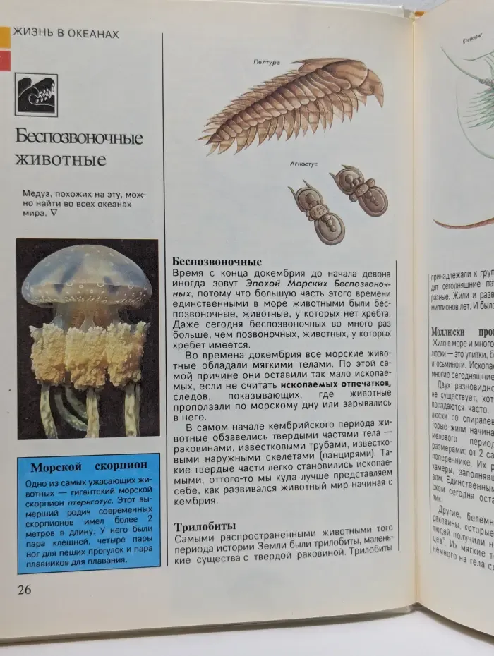 Детская энциклопедия