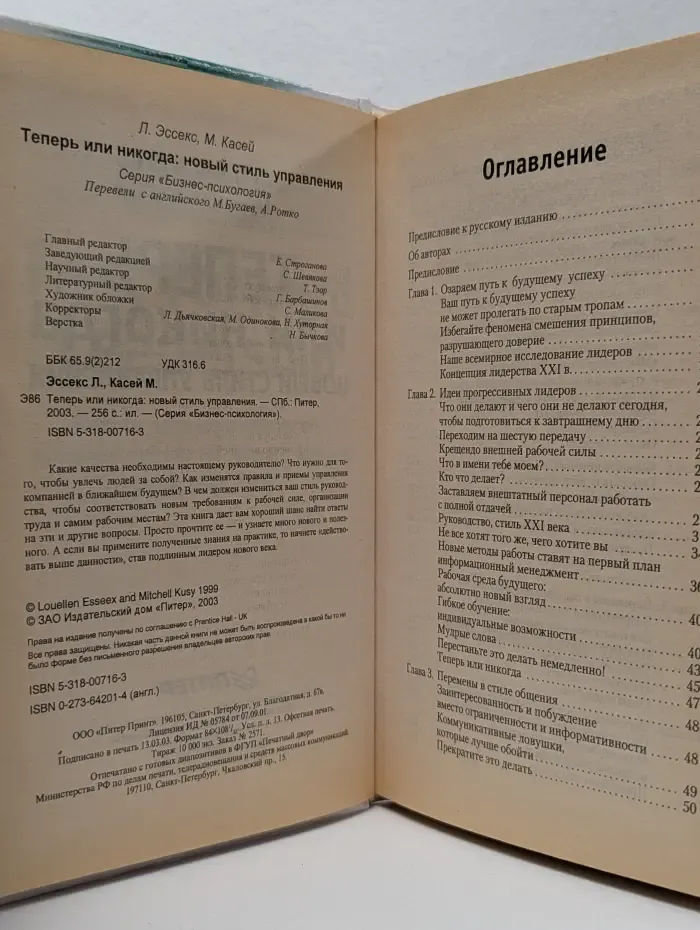 Бизнес-психология. Теперь или никогда. Новый стиль управления
