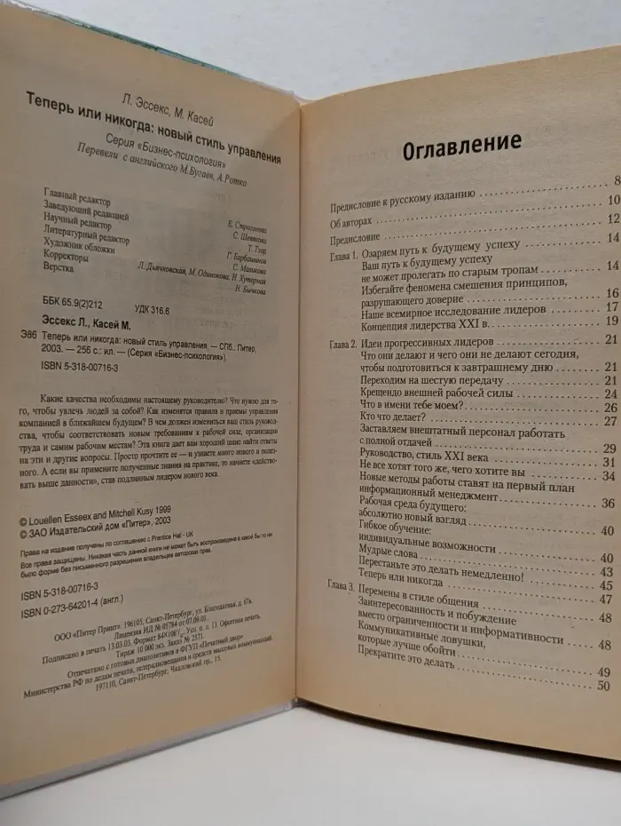 Бизнес-психология. Теперь или никогда. Новый стиль управления