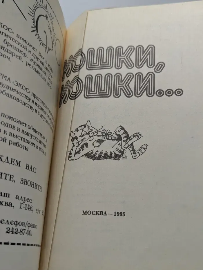 Кошки, кошки...