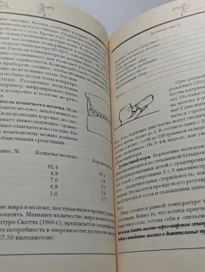 Кошки, кошки...
