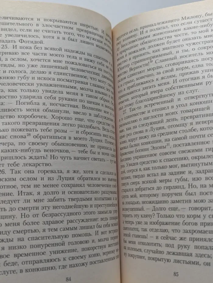 Метаморфозы, или Золотой осел