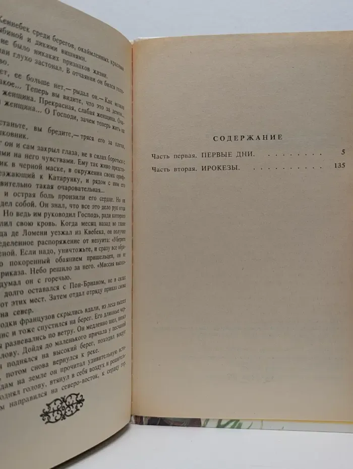 Анжелика в Новом свете. Роман в 2 книгах. Книга 1