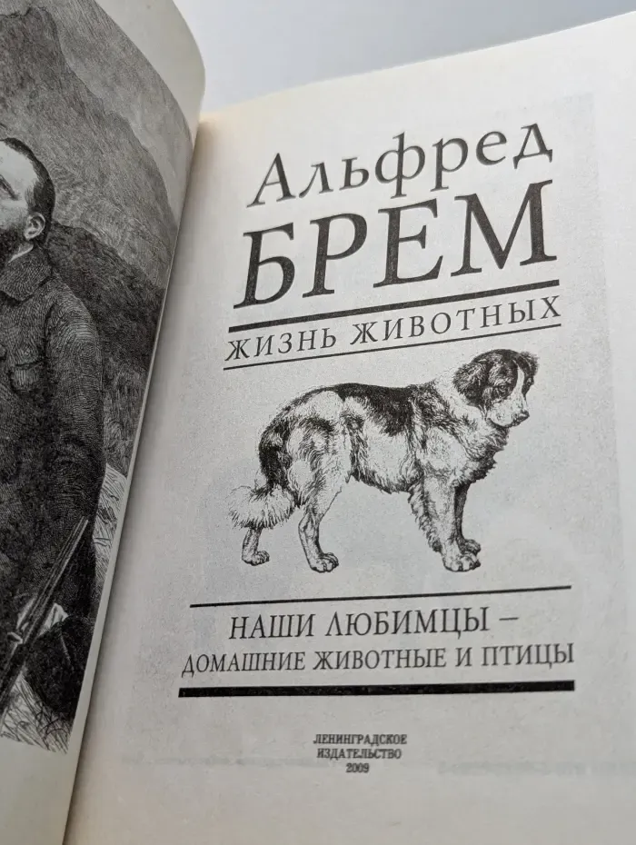 Жизнь животных. Наши любимцы – Домашние животные и птицы