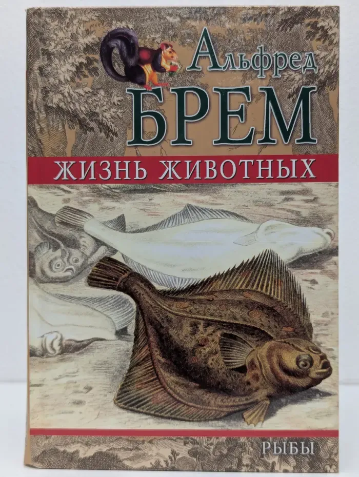 Жизнь животных. Рыбы. Том  2