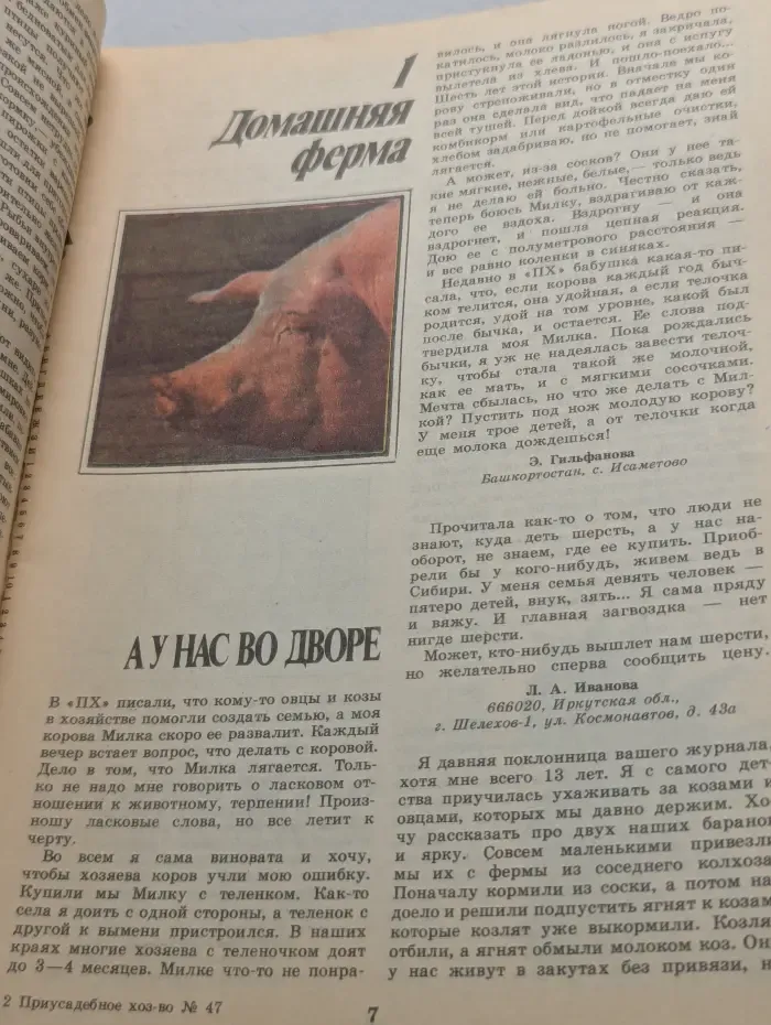 Приусадебное хозяйство. Выпуск № 4/1993