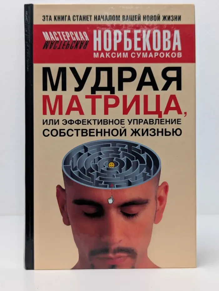 Мастерская Норбекова. Мудрая матрица, или Эффективное управление собственной жизнью