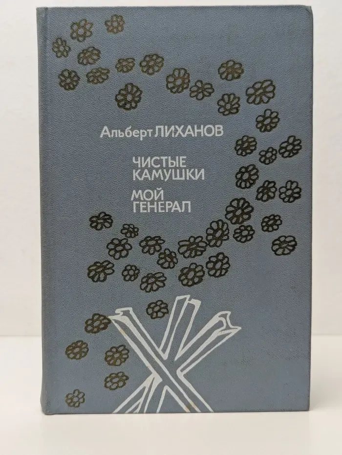 Библиотека Мужества. Чистые камушки. Мой генерал