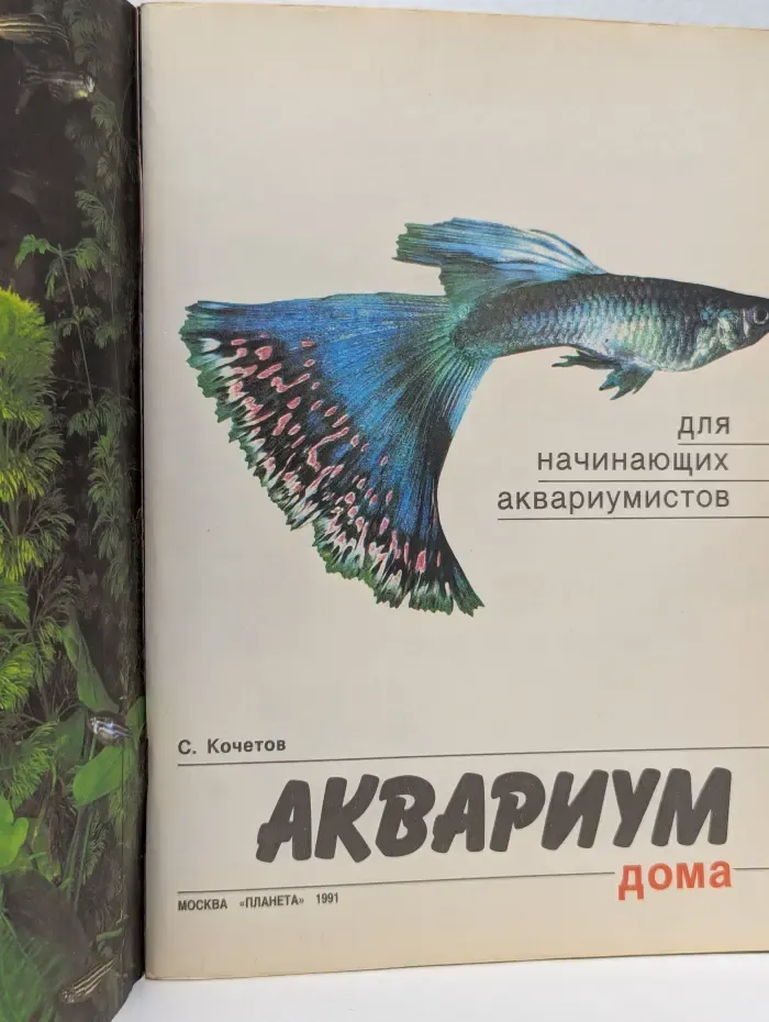 Аквариум дома. Для начинающих аквариумистов