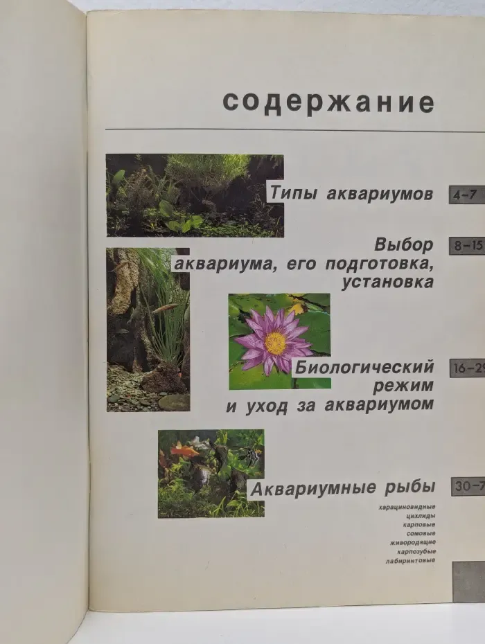 Аквариум дома. Для начинающих аквариумистов