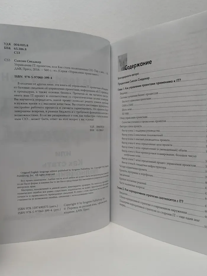 Управление проектами. Управление IT-проектом, или Как стать полноценным CIO