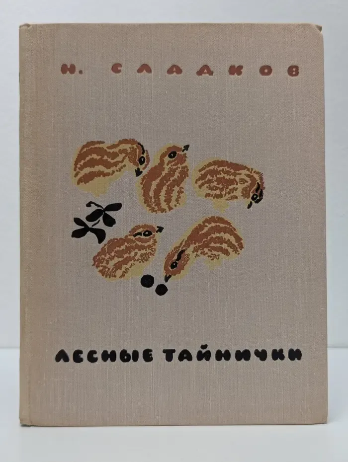 Лесные тайнички