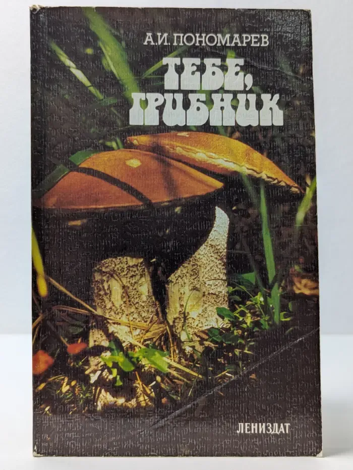 Тебе, грибник