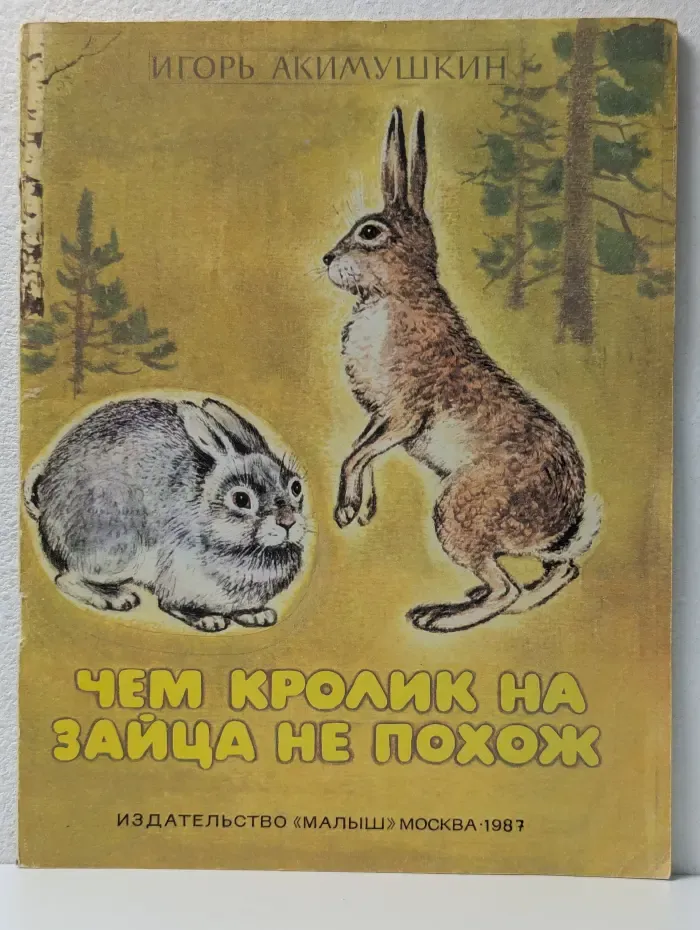 Чем кролик на зайца не похож
