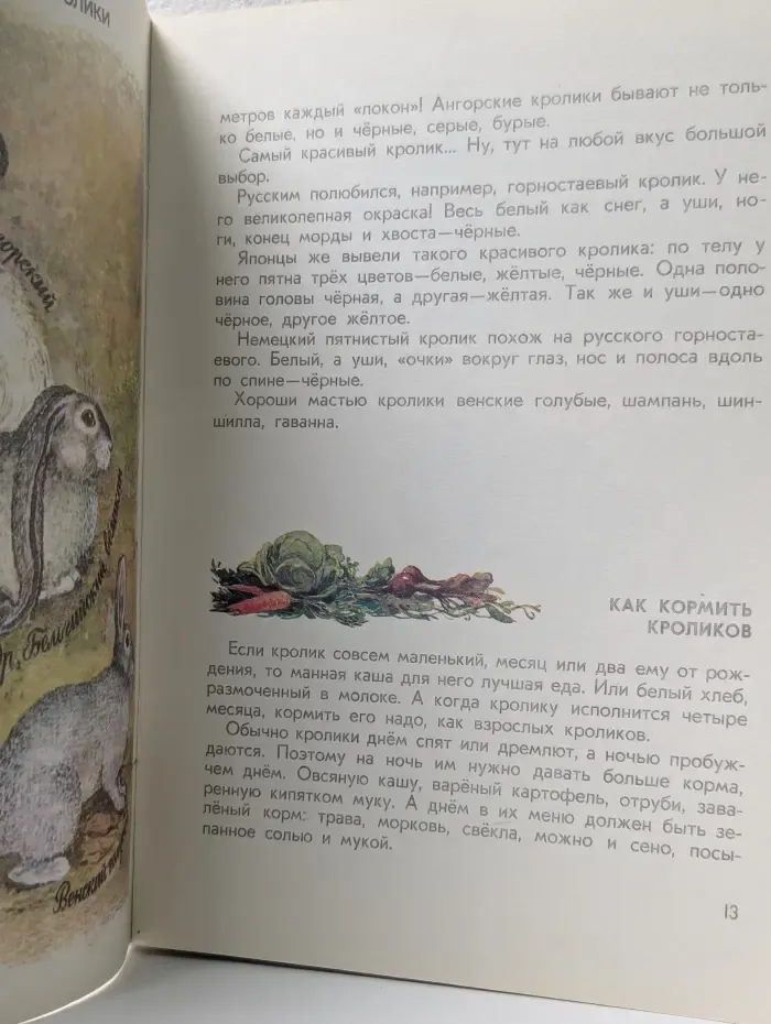 Чем кролик на зайца не похож