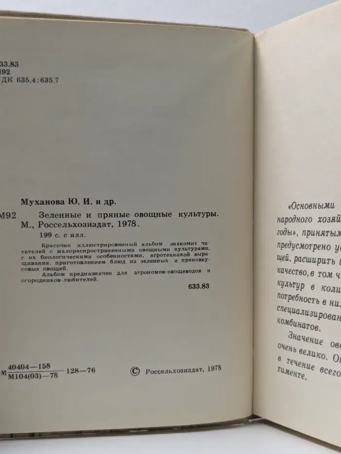 Зеленые и пряные овощные культуры