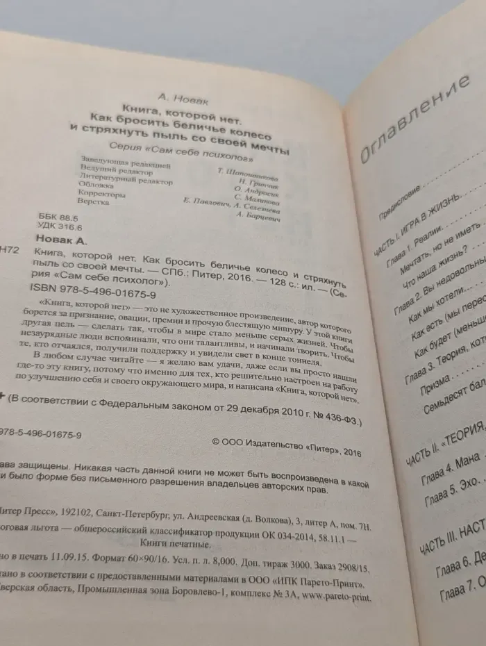 Сам себе психолог. Книга, которой нет. Как бросить беличье колесо и стряхнуть пыль со своей мечты